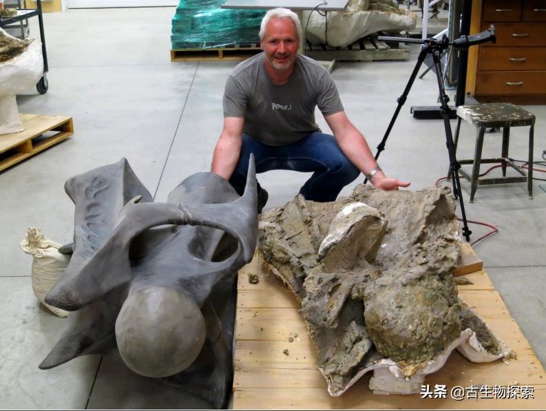 史上最大的超巨型恐龙,最新世界上最大的巨型恐龙