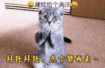 中国足球输给业余球队视频,足球打脸比赛视频完整版