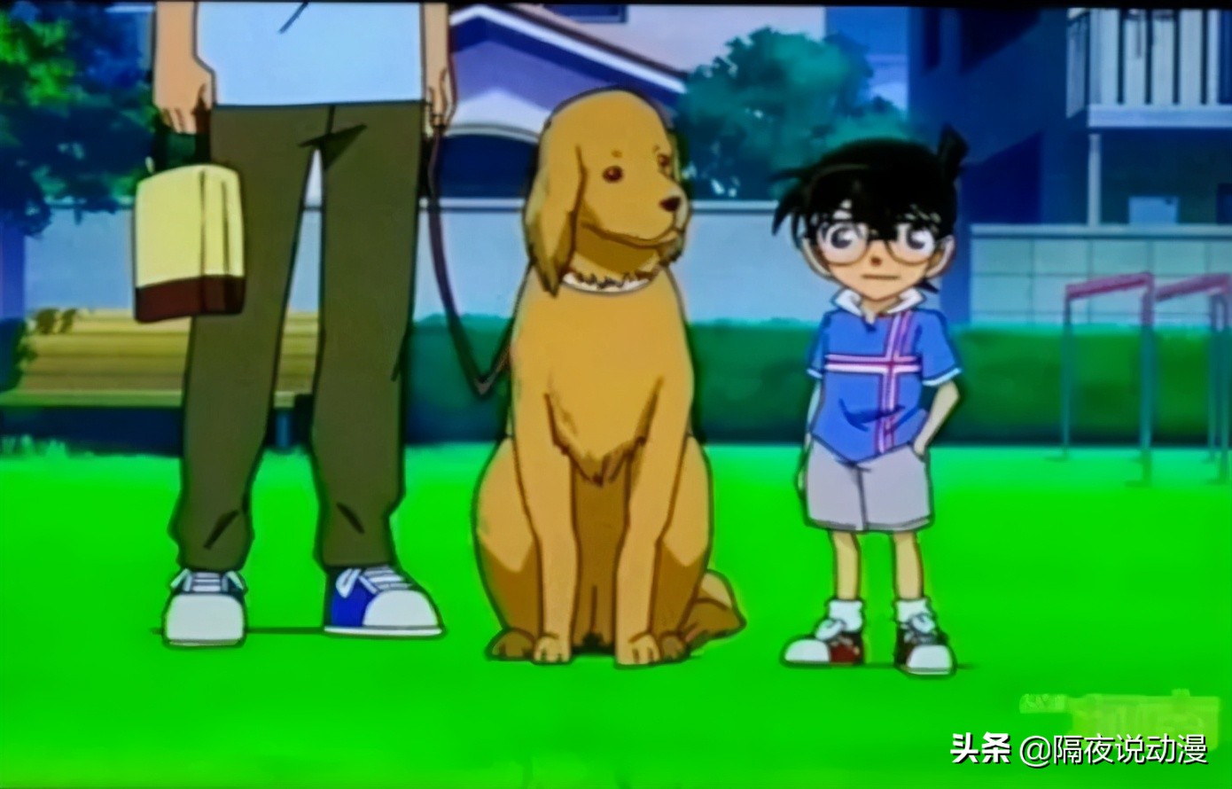 b站名侦探柯南,柯南身高之谜