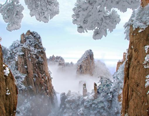 峰花雪月个人抖音,风花雪月
