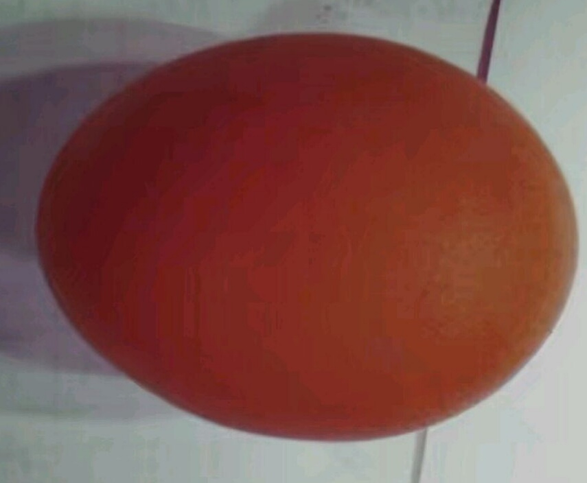 记录生活点滴，比普通烙饼有营养好吃4