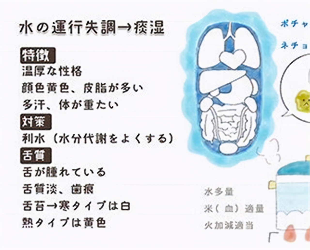 “痰湿”体质更容易导致脑梗塞！认识痰湿3个症状，早预防很重要