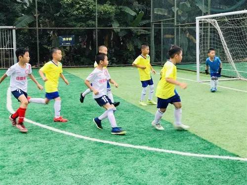 永城市滨湖桃源足球场免费吗,永城免费足球场