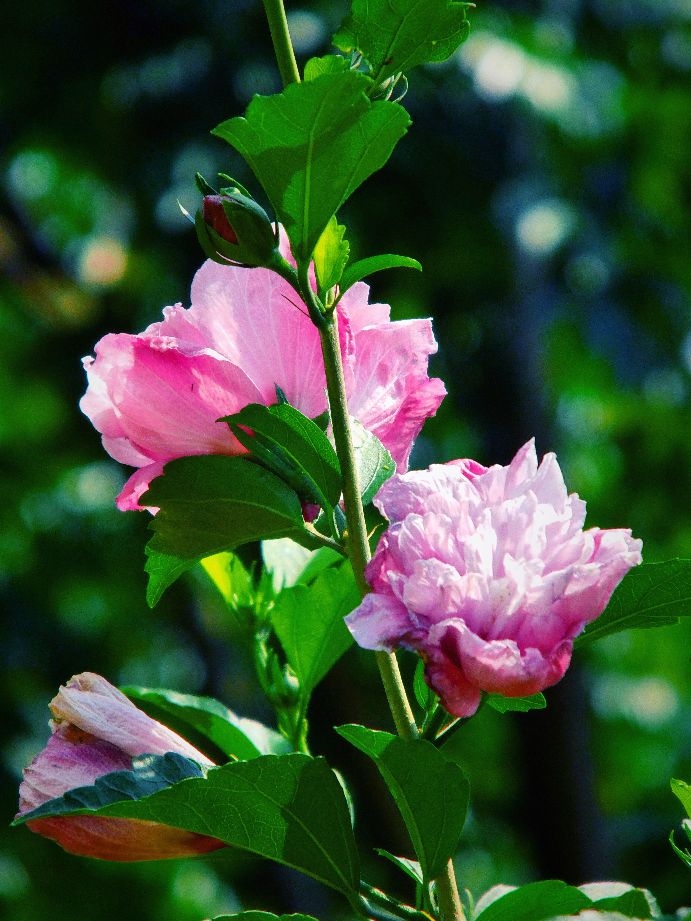 49张照片告诉你韩国与众不同,50张照片让你了解韩国