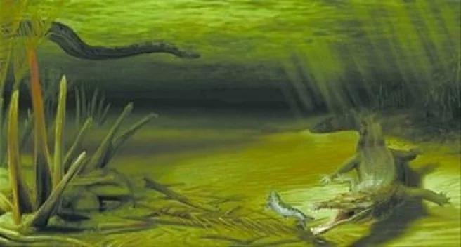 地球最大动物蓝鲸两百吨体重,地球最大的动物是什么动物