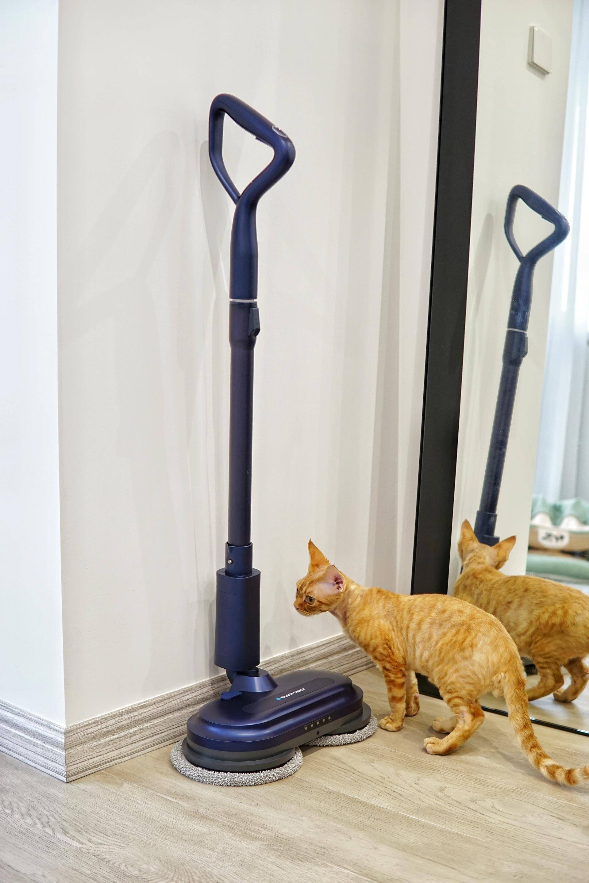 德国蓝宝拖把拖地,拖地洗地一体机测评