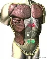 含胸拔背正确方法动图,含胸拔背手法教学视频