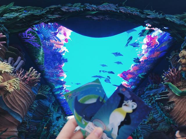 珠海长隆海底世界旅游攻略,珠海旅游攻略长隆海底世界