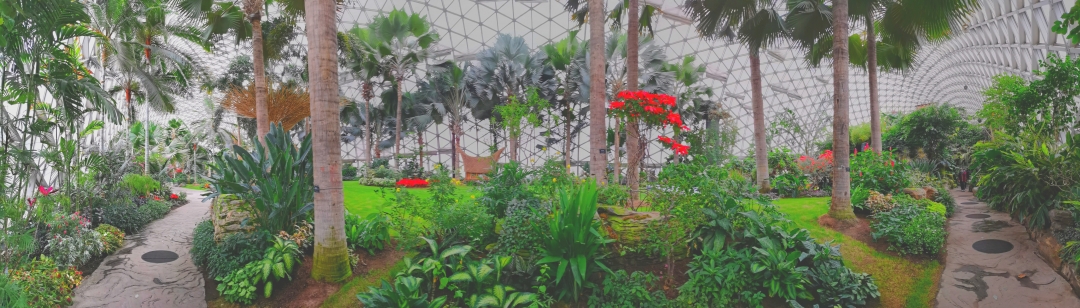 上海城隍庙豫园全部风景,上海城隍庙附近好玩的景点推荐