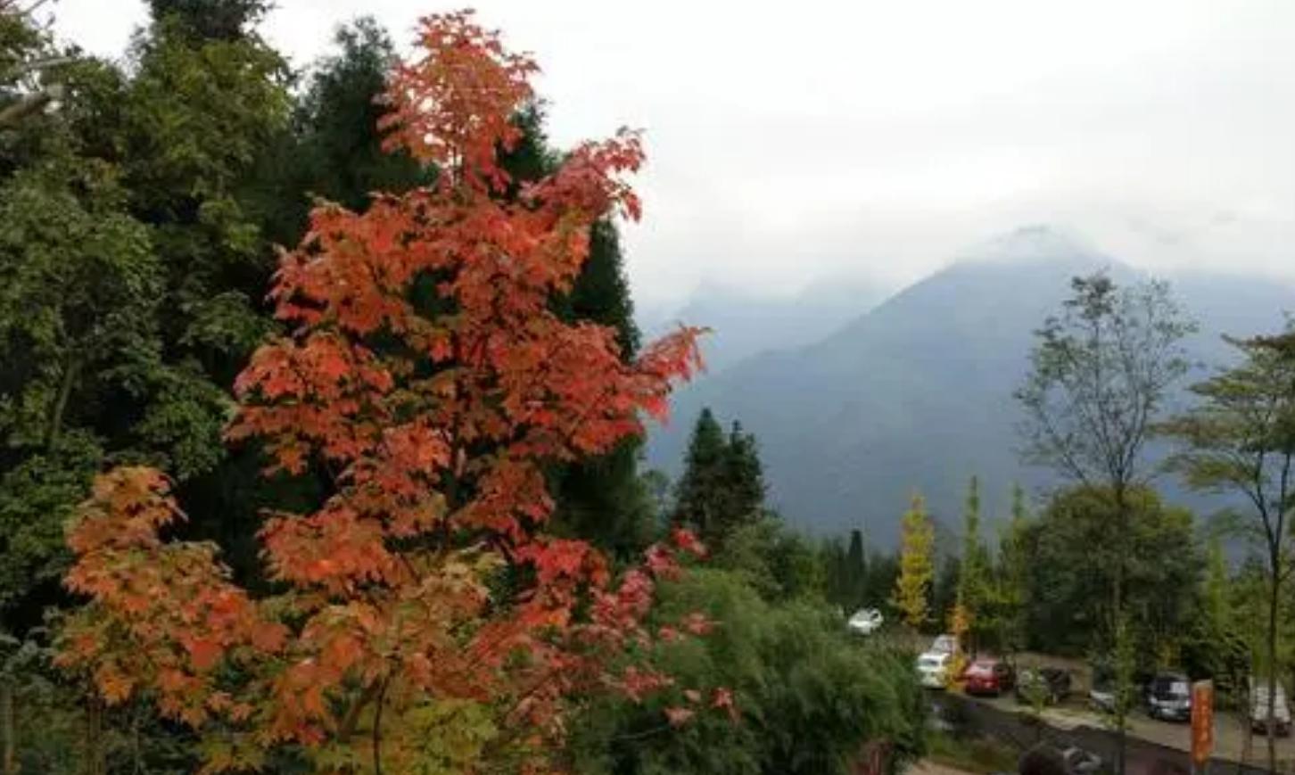 成都童话森林旅游,成都周边两小时的童话森林王国