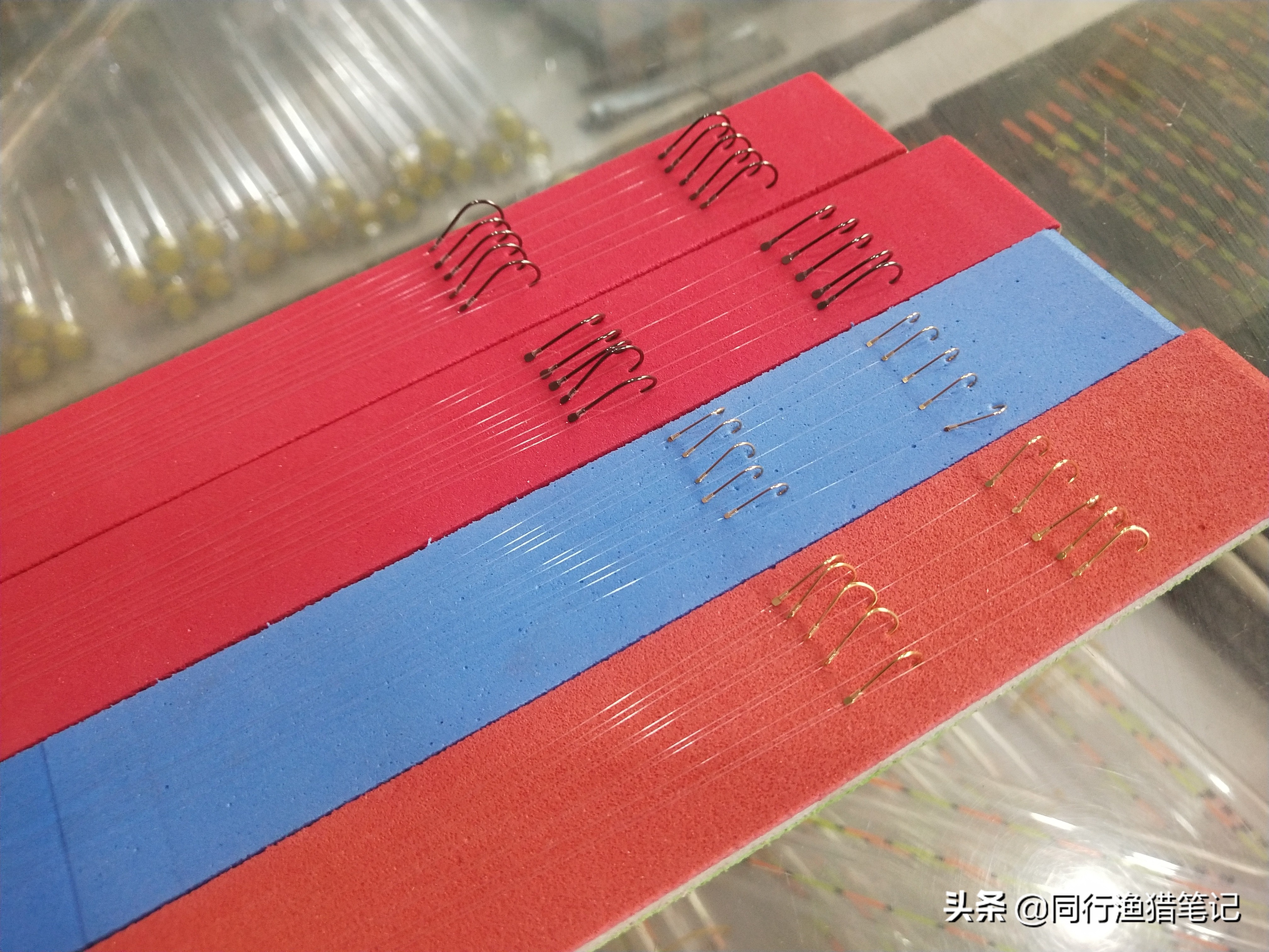 黑坑新放的3-5斤草鱼怎么钓,广东黑坑钓草鱼的正确方法与技巧