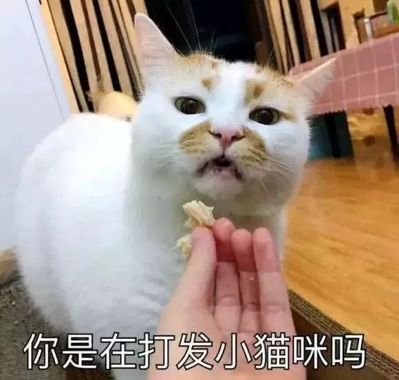 铲屎的时候怎么看猫咪是否软便,铲屎官必看完整视频