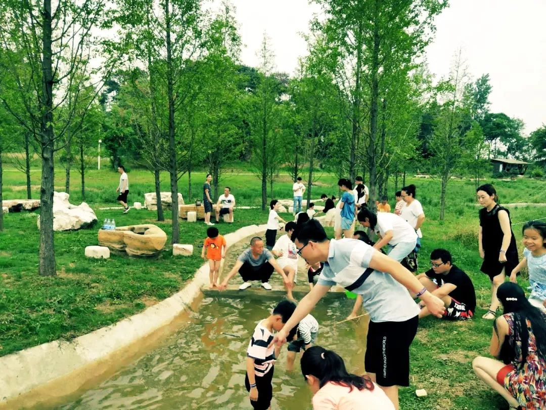 紫薇园宿州露营音乐节,中华紫薇园露营