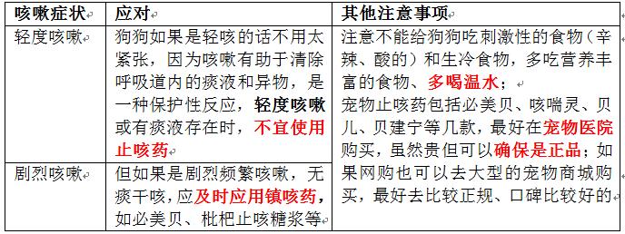 狗狗感冒了怎么办又不吃东西,狗狗感冒怎么办不用药