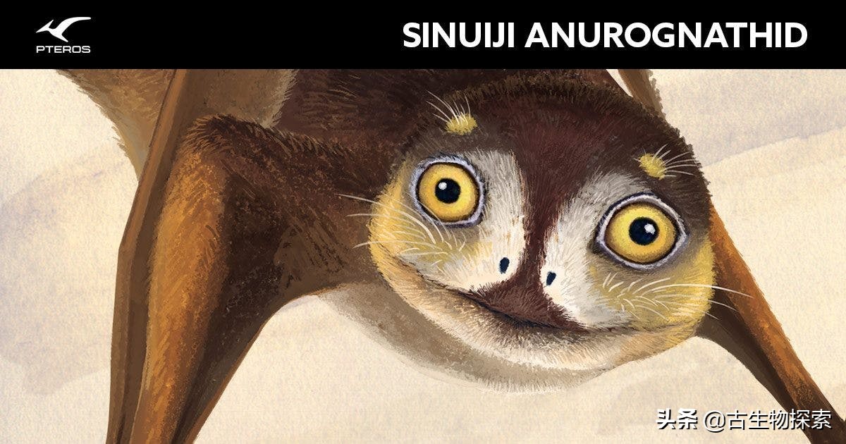 缈奸緳鍊掓寕,缈奸緳鍊掓寕鍗婄┖