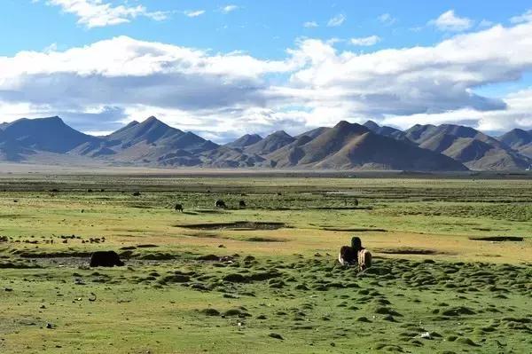 世界上海拔最高的公路！中国最神奇的天路！比川藏线还险10倍！