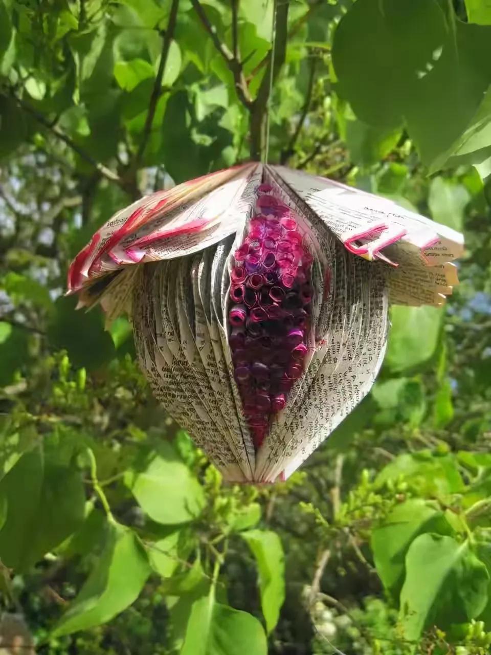 世界十大珍贵的植物图片,世界上罕见的名贵植物图片