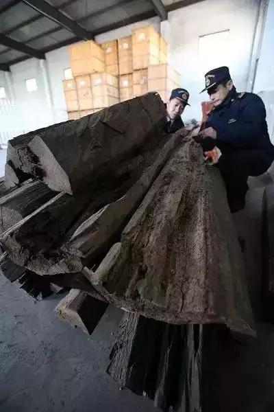 红木家具什么木材最好又不贵,红木家具木材价格排行