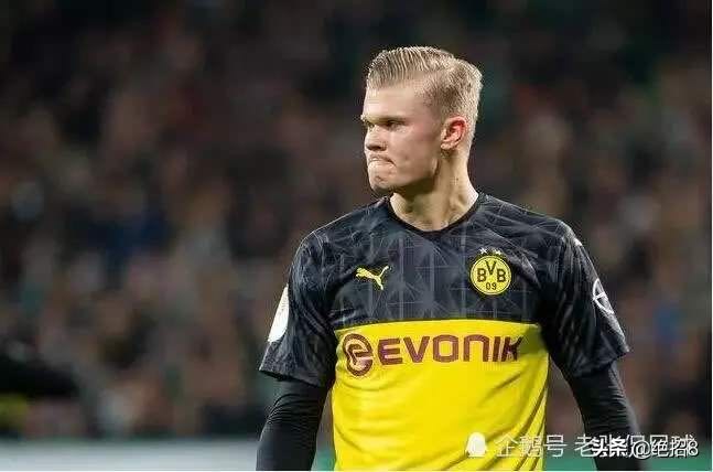 哈兰德身高为什么这么高,哈兰德到底有没有孩子