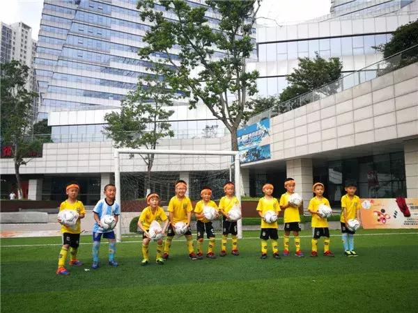 飞扬足球,飞扬足球预测