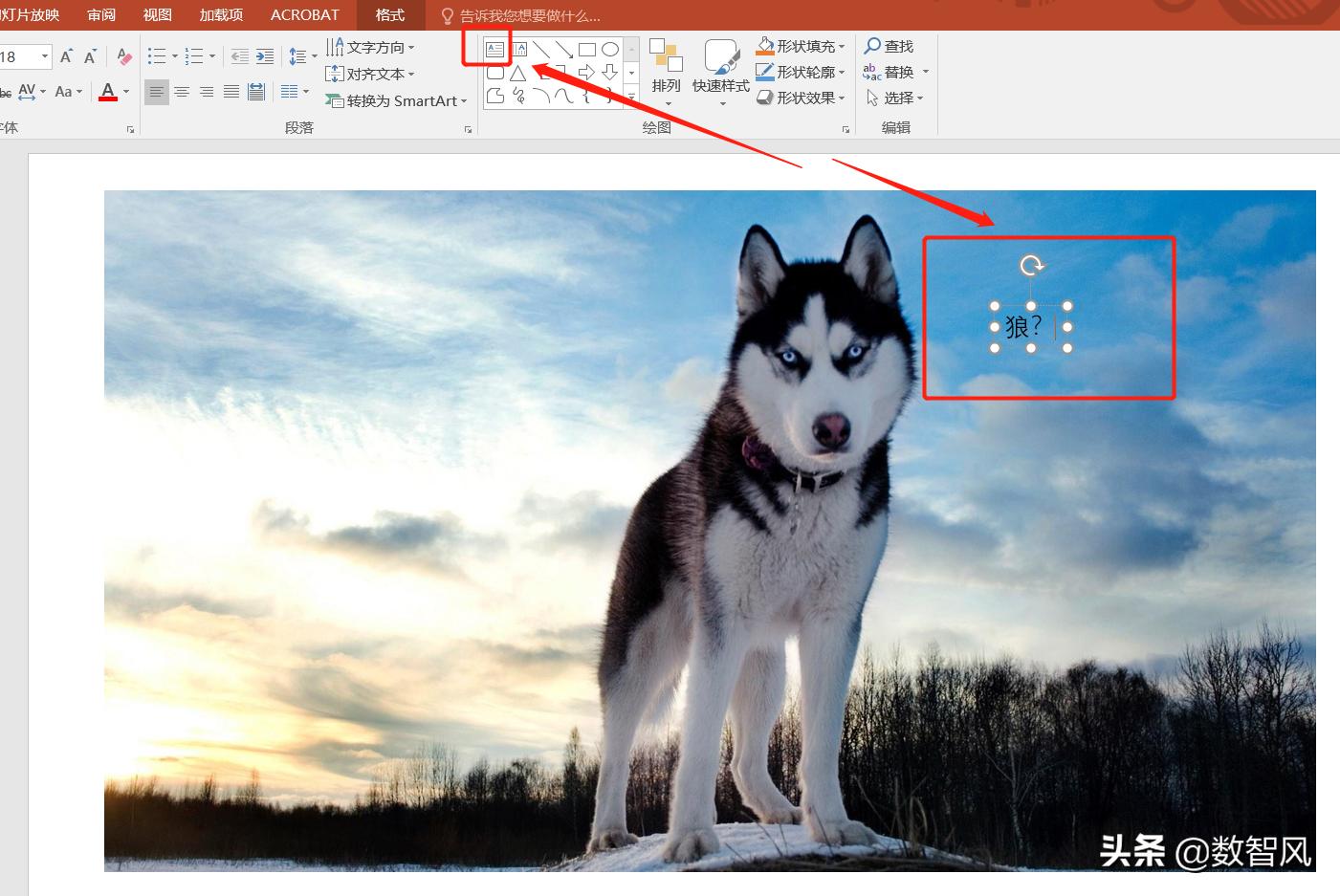 如何给身份证照片加水印和文字,照片加文字方法视频