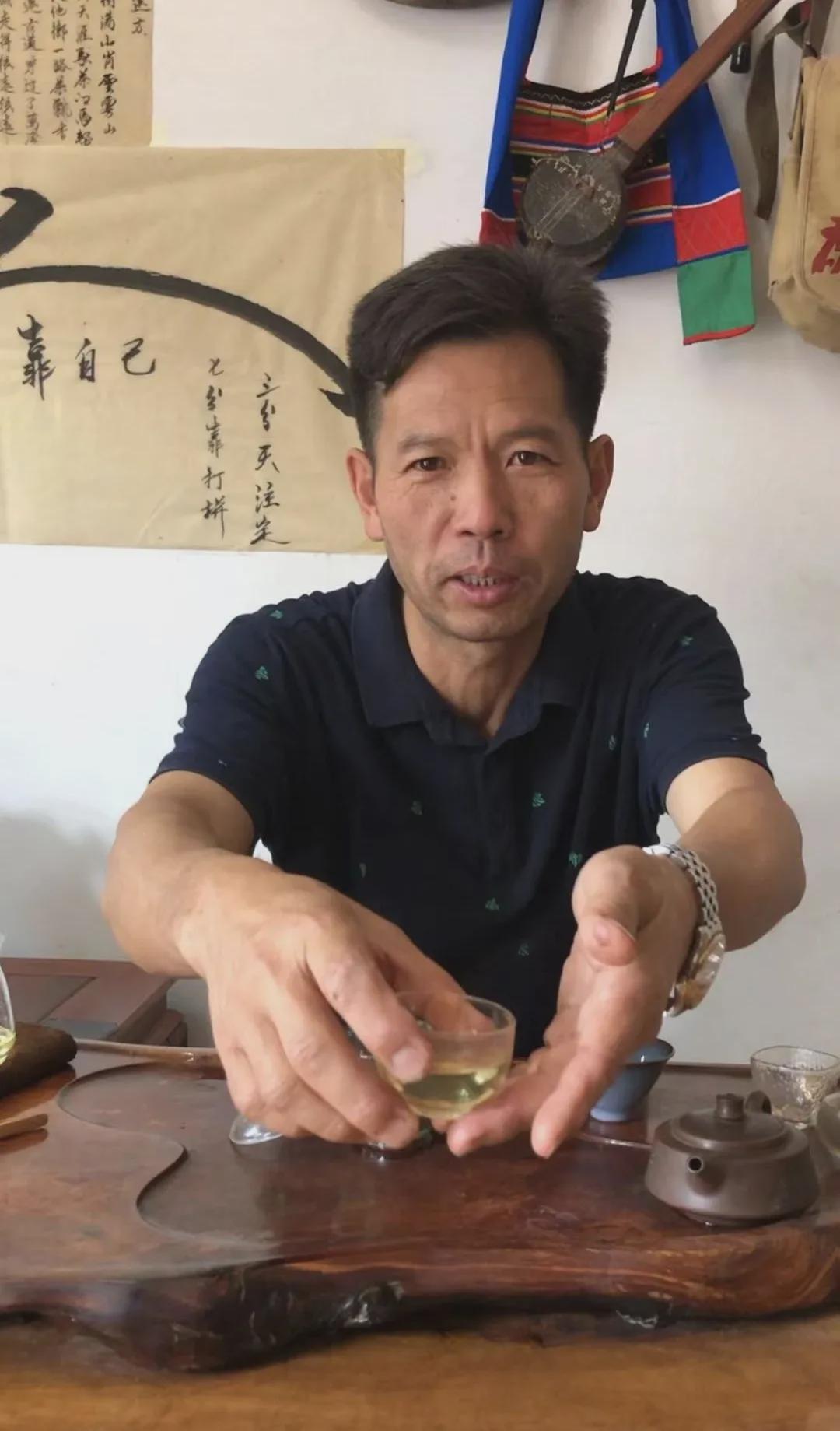 倚邦猫耳朵古树茶的口感特点,倚邦石韵茶坊猫耳朵茶