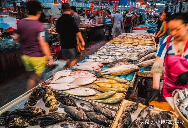 市场上常见的鱼有哪几种,八种好养的野生鱼