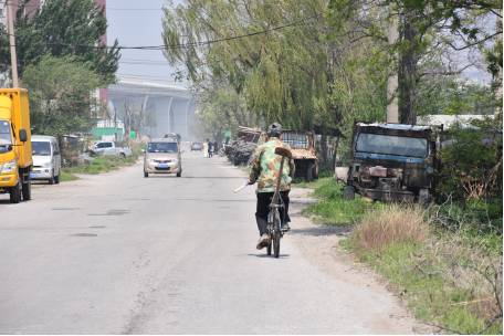营口网红世外桃源,辽宁哪有世外桃源