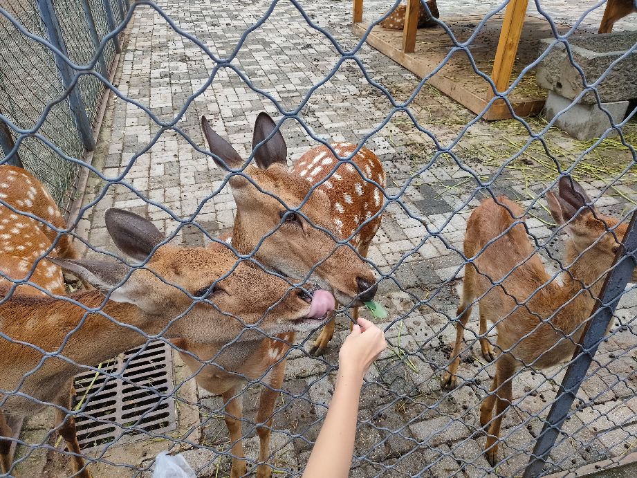 沈阳优待证免费的景点,沈阳70岁以上免费景点
