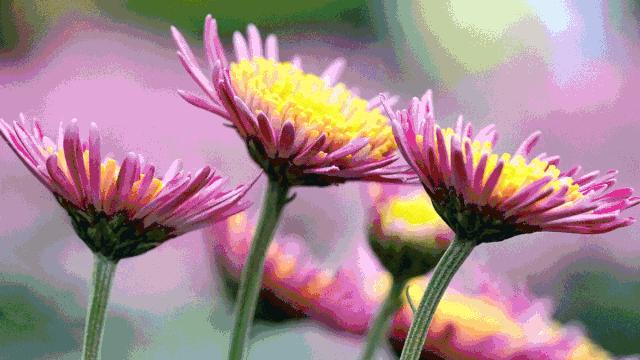 自拍达人全景,南宁自拍拍照博主