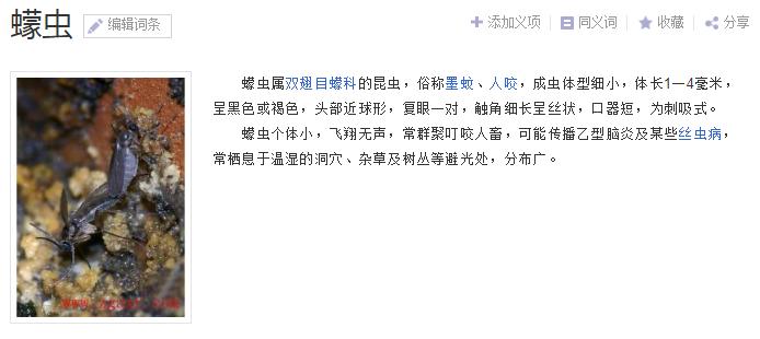 海南小黑虫咬人怎么防御,看到有小黑虫钻进伤口怎么办