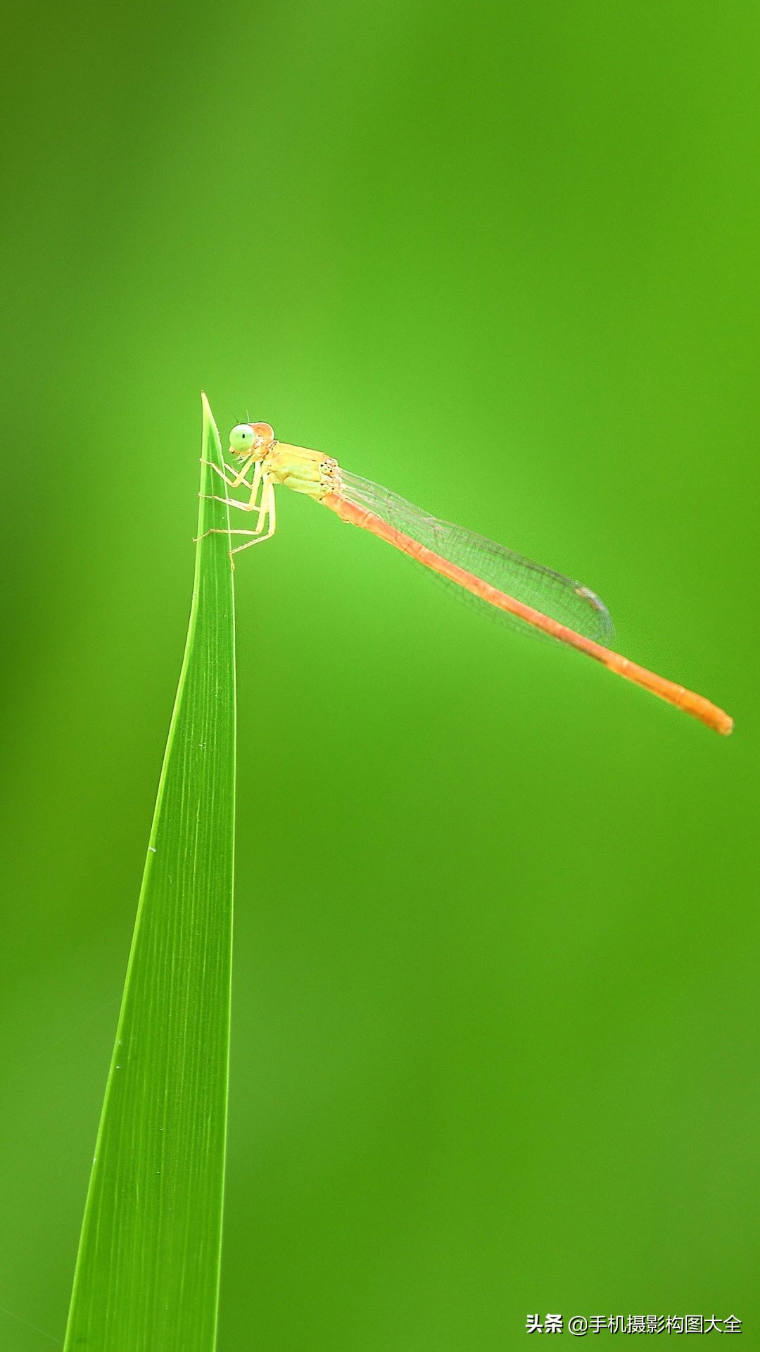 拍出好照片的5大摄影心法,摄影做减法技巧
