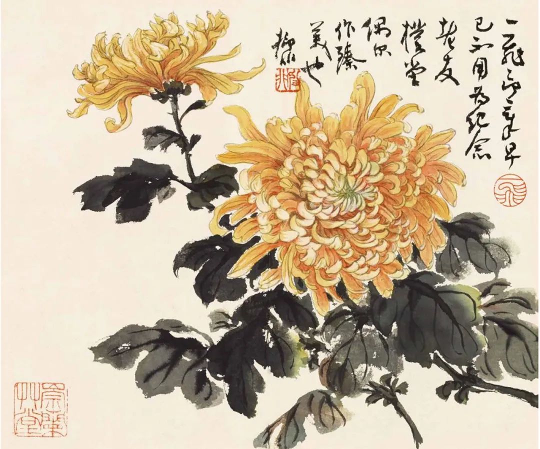 秋菊怎么画简单,秋菊花图片怎么画