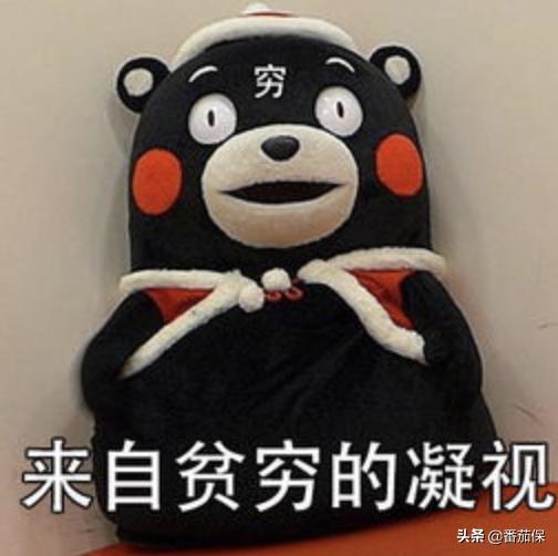 梅奥诊所与北京协和的技术对比,梅奥诊所国际医疗典范