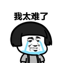 猫狗营养品,猫狗药品营养品