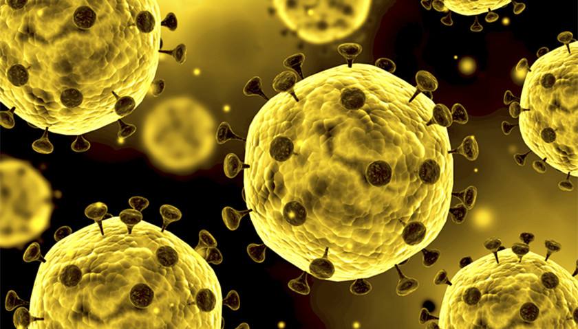 老公我感冒了,老公告诉自己感冒了