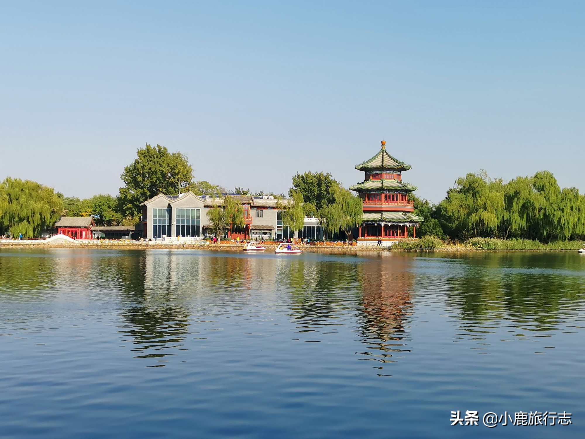 北京免费玩森林公园有哪些,北京森林公园一日游最佳攻略