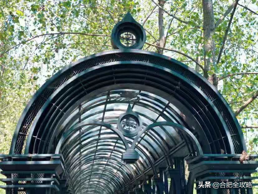 合肥有哪些好玩的地方值得一去,本地人认为合肥最值得游玩的地方