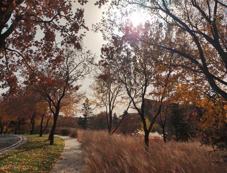 什么是得寸进尺的人,什么是得寸进尺的东西