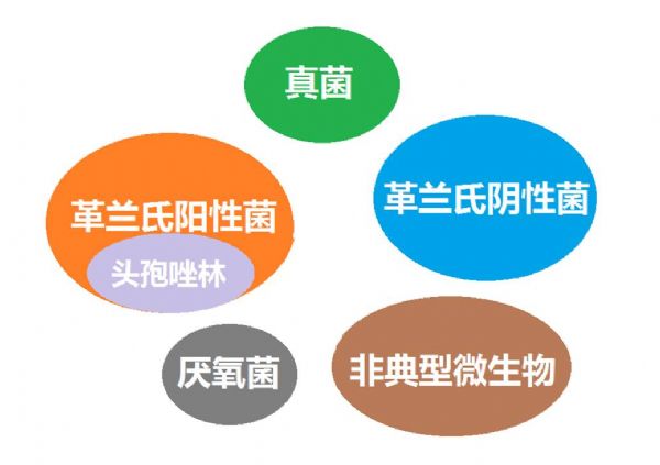 看图“话”抗菌谱，赶紧收藏