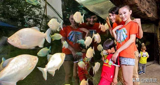 珠海长隆旅游公寓,珠海横琴长隆旅游度假公寓门票