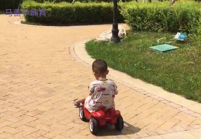 养了四年神兽，我买了这几辆车，很值