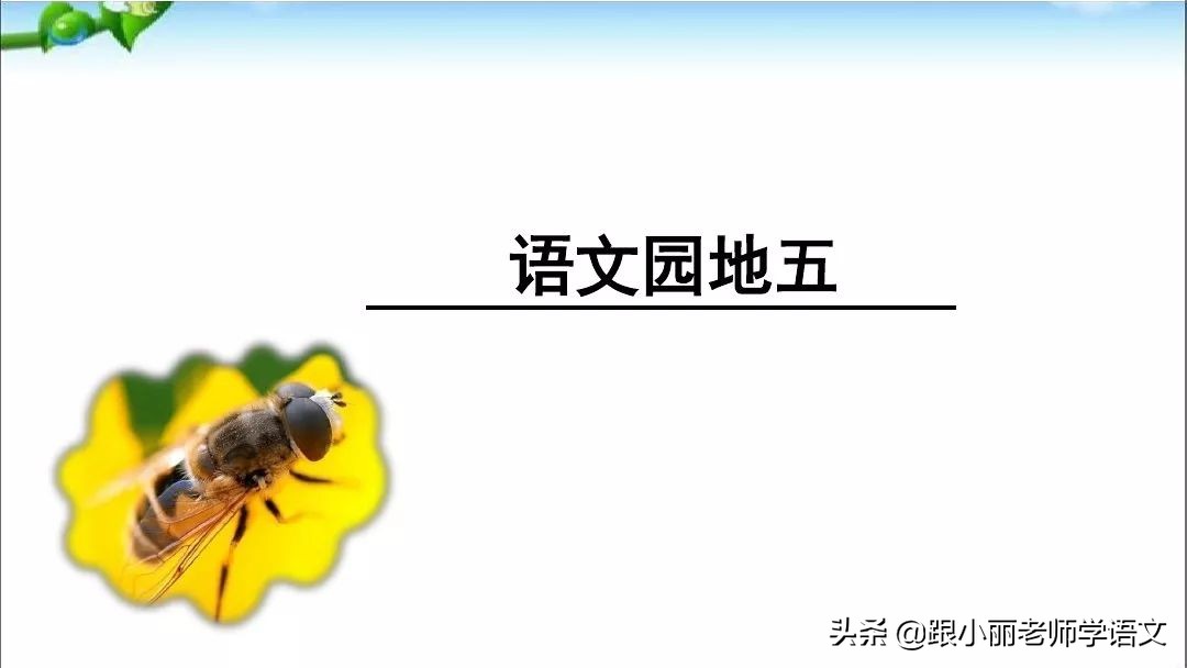 部编版二年级上册语文园地五习题,部编版语文二年级上语文园地五