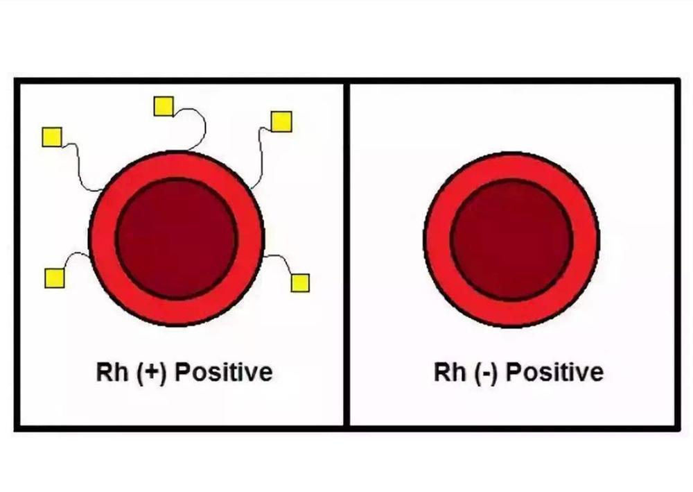 女人什么样的体质不能生孩子,女的什么体质可以生男宝