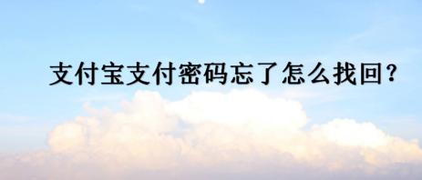 支付宝支付密码忘了怎么办苹果,支付宝支付密码忘了怎么办小米