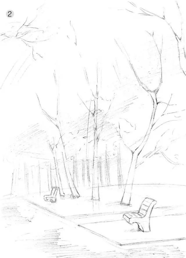 素描雨天树林图片简单版,用八开素描纸怎么画树林