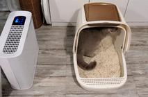 吉若奥mini空气净化器,吉若奥空气净化器测评