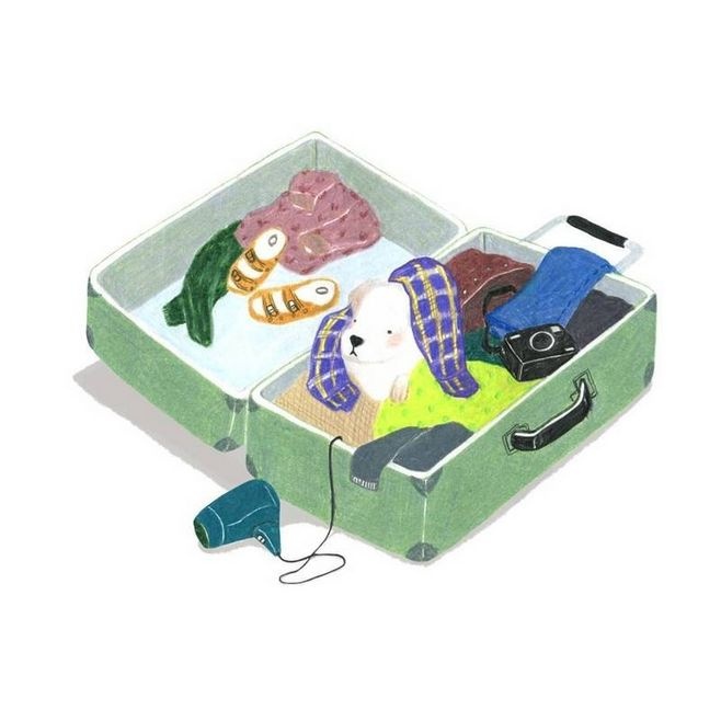 狗狗冷知识大合集视频,狗狗冷知识狗粮