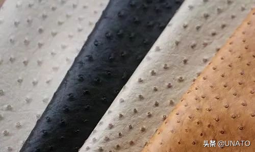 <html>
<head><title>502BadGateway</title></head>
<body>
<center><h1>502BadGateway</h1></center>
<hr><center>nginx</center>
</body>
</html>
<!--apaddingtodisableMSIEandChromefriendlyerrorpage-->
<!--apaddingtodisableMSIEandChromefriendlyerrorpage-->
<!--apaddingtodisableMSIEandChromefriendlyerrorpage-->
<!--apaddingtodisableMSIEandChromefriendlyerrorpage-->
<!--apaddingtodisableMSIEandChromefriendlyerrorpage-->
<!--apaddingtodisableMSIEandChromefriendlyerrorpage-->
