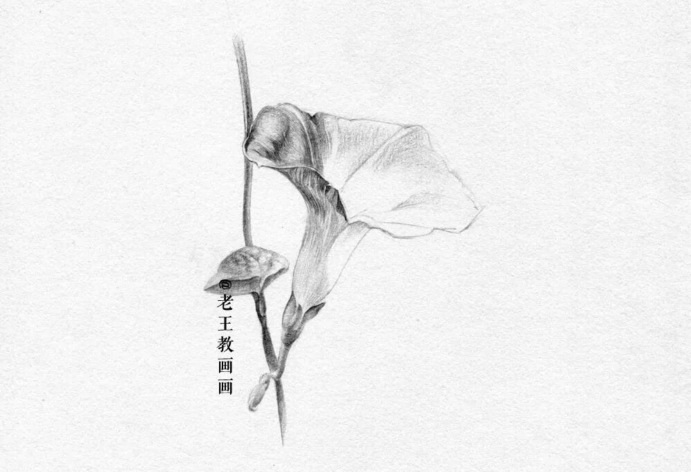 素描小白都在画什么,新手小白画素描人物